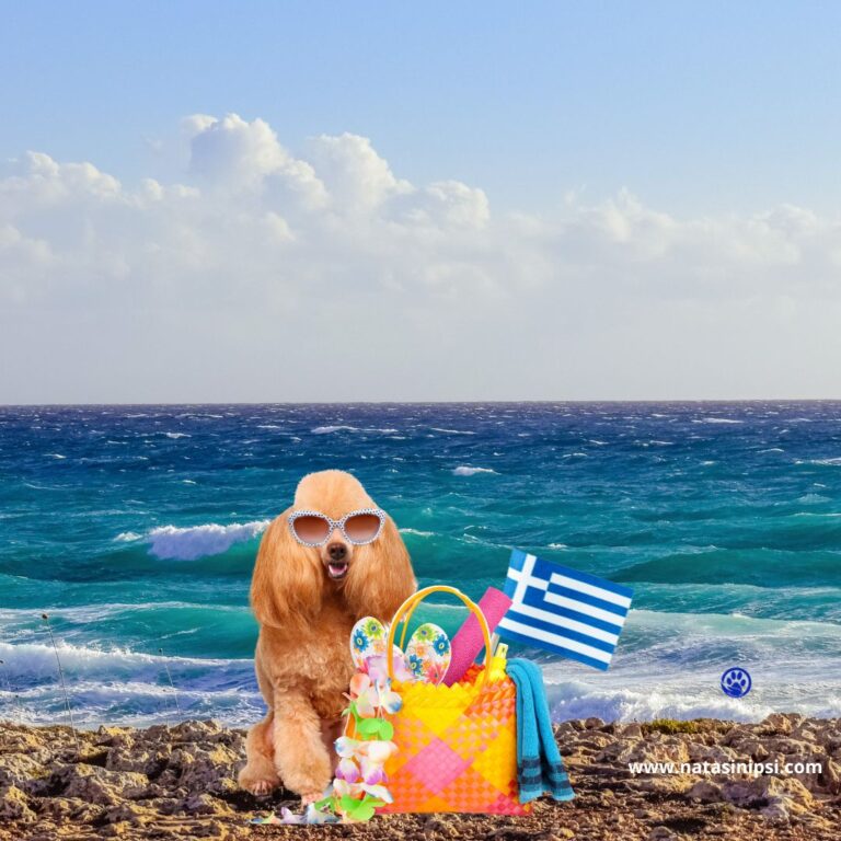 vacation with dog in Greece