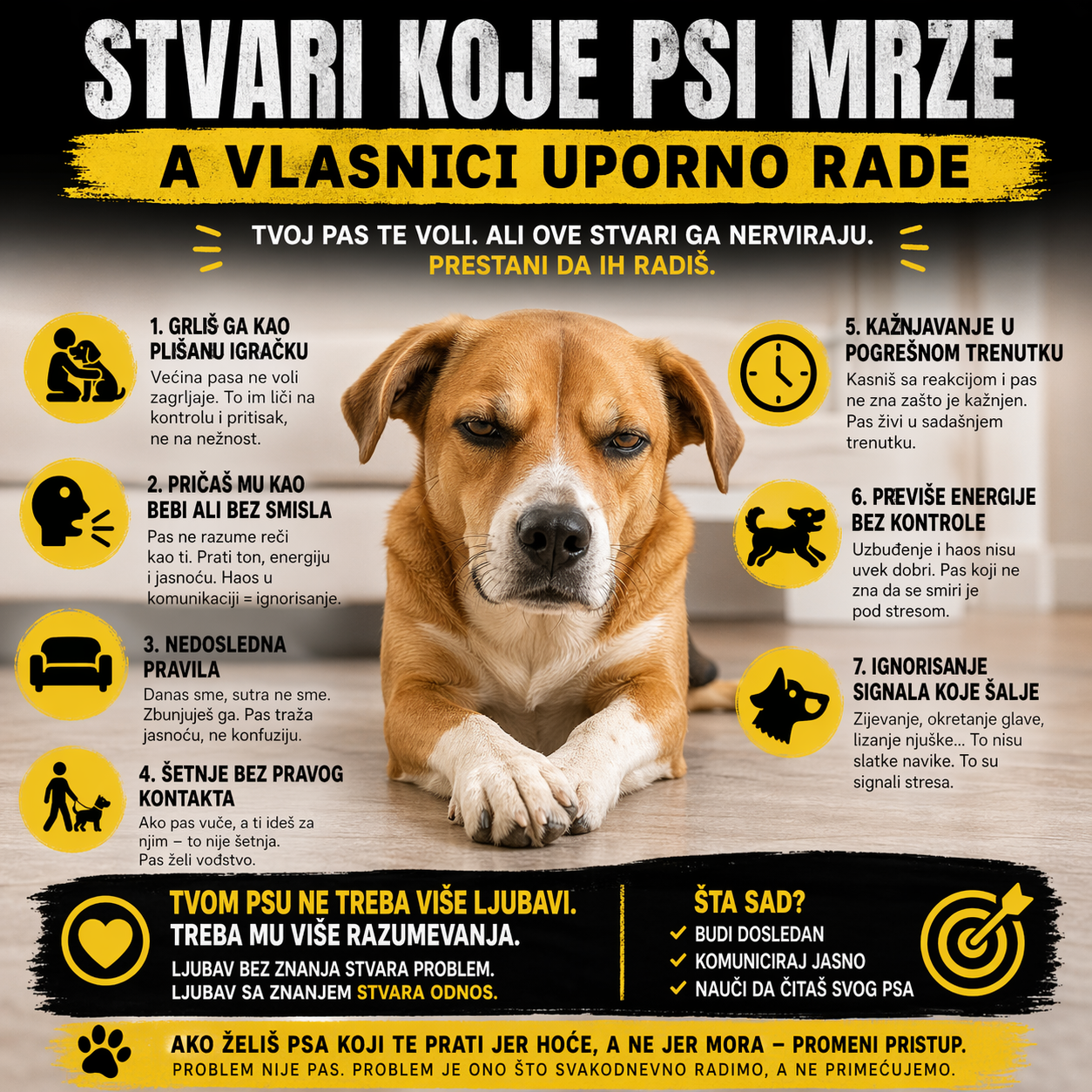 Tvoj pas te voli. Ali neke stvari koje radiš ga zbunjuju, opterećuju ili nerviraju. Razumevanje psa menja sve.