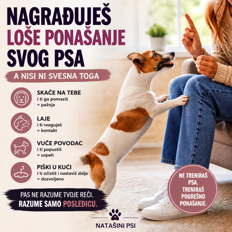 Nagrađivanje lošeg ponašanja psa kroz pogrešne reakcije vlasnika tokom dresure
